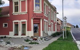 Pension U Palenice